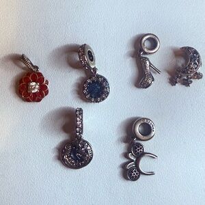Pandora Silver celestial and Flower Charm Set